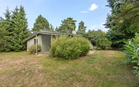 Sini - 300M from the Sea: Tag, Hus, Hjem, Sommerhus, Dør, Sidespor, Dæk, Veranda, Planke, Hårdttræ