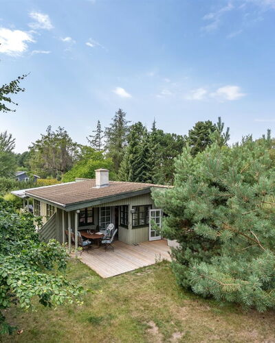 Sini - 300M from the Sea