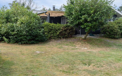 Margit - 10M from the Sea: Busk, Have, Land Lot, Lawn, Backyard, Skygge, Gård, Sommerhus