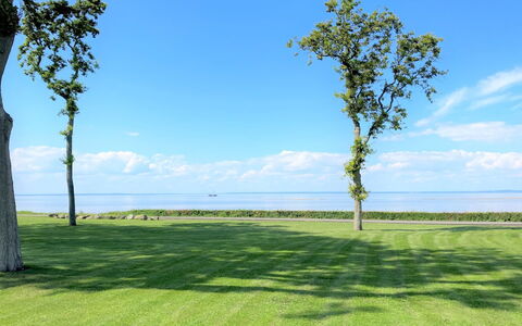 Gudke - 50M from the Sea: Møbel, Indretning, Gulvbelægning, Træ, Etage, Loft, Trægulve, Stol, Bord, Belysning