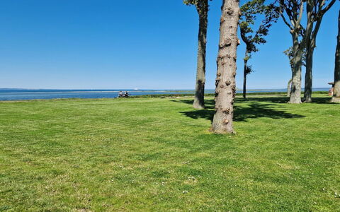 Emira - 50M from the Sea: Græs, Græs-, Landskab, Økoregion, Almindeligt, Plantesamfund, Land Lot, Udendørs Møbler, Prærie, Shrubland