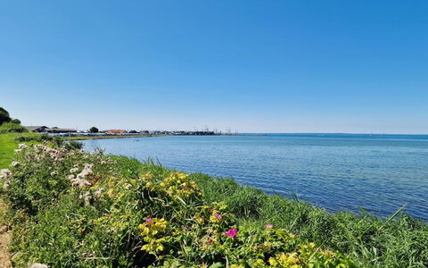 Emira - 50M from the Sea: Græs, Græs-, Landskab, Økoregion, Almindeligt, Plantesamfund, Land Lot, Udendørs Møbler, Prærie, Shrubland