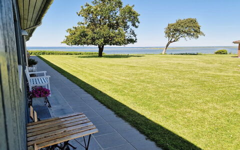Emira - 50M from the Sea: Græs, Græs-, Landskab, Økoregion, Almindeligt, Plantesamfund, Land Lot, Udendørs Møbler, Prærie, Shrubland