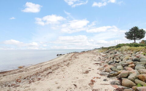 Radojka - 75M from the Sea: Tag, Hus, Land Lot, Hjem, Sommerhus, Estate, Garden Bygninger, Skygge, Bjælkehytte, Landscaping