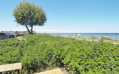 Vincent - 10M from the Sea: Blå, Grøn, Sommer, Busk, Hav, Ocean, Coastal Og Oceaniske Landskabsformer, Bunddække, Kyst, Kyst