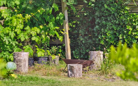 Thomas - 120M from the Sea: Træ, Plantesamfund, Land Lot, Skygge, Naturmateriale, Garden Bygninger, Skur, Udendørs Struktur, Bjælkehytte