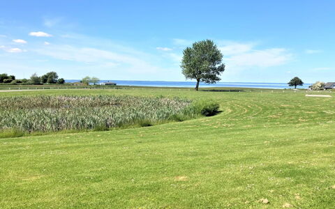 Daniela - 300M from the Sea: Hus, Hjem, Tag, Sommerhus, Estate, Landscaping, Garden Bygninger, Sidespor, Stuehus