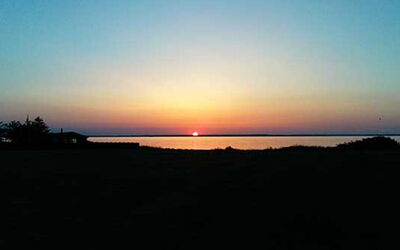 Daniela - 300M from the Sea