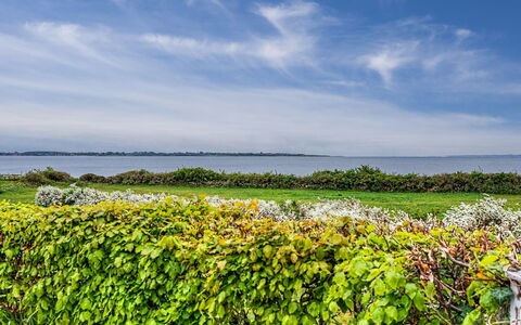 Annalia - 50M from the Sea: Træ, Have, Backyard, Land Lot, Hjem, Tag, Skygge, Dæk, Hårdttræ, Gård