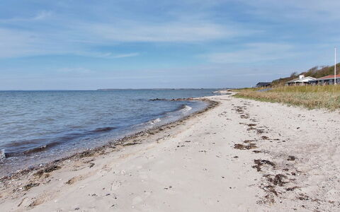 Bertold - 20M from the Sea: Blå, Busk, Sommerhus, Bunddække, Have, Estate, Skygge, Landscaping, Stuehus, Eco Hotel