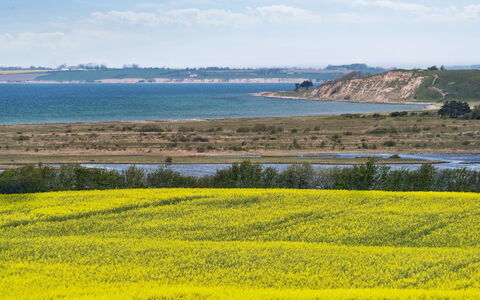 Store - 700M from the Sea: Møbel, Indretning, Gulvbelægning, Træ, Etage, Loft, Trægulve, Stol, Bord, Belysning