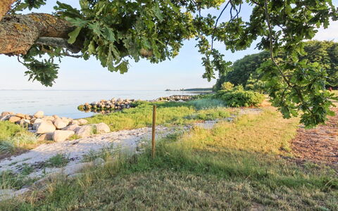 Sasser - 10M from the Sea: Blå, Busk, Sommerhus, Bunddække, Have, Estate, Skygge, Landscaping, Stuehus, Eco Hotel