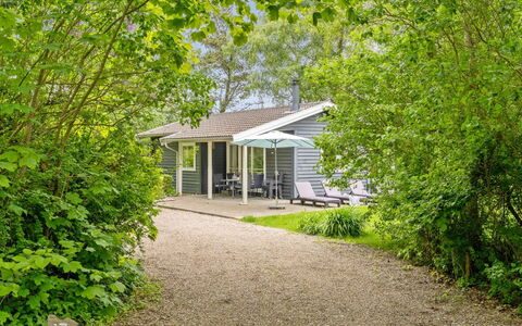Felisa - 300M from the Sea: Busk, Hjem, Hus, Sommerhus, Have, Bunddække, Forår, Skygge, Sidespor