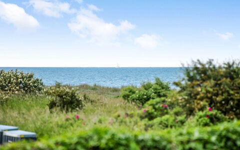 Emin - 100M from the Sea: Himmel, Blå, Daytime, Grøn, Horisont, Vegetationen, Sommer, Hav, Busk, Plantesamfund