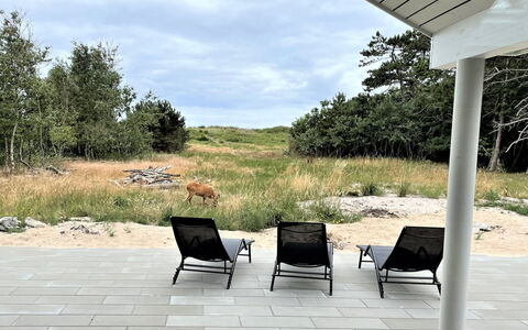 Jorn - 75M from the Sea: Hus, Tag, Hjem, Sommerhus, Skur, Garden Bygninger, Sidespor, Gård, Bjælkehytte, Hytte