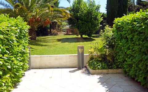 Saint-Tropez 515: Plante, Himmel, Plantesamfund, Blad, Grøn, Naturlige Landskab, Træ, Land Lot, Arkitektur, Vejbelægning