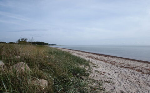 Joran - 120M from the Sea: Himmel, Kyst, Strand, Horisont, Coastal Og Oceaniske Landskabsformer, Kyst, Hav, Sommer, Økoregion