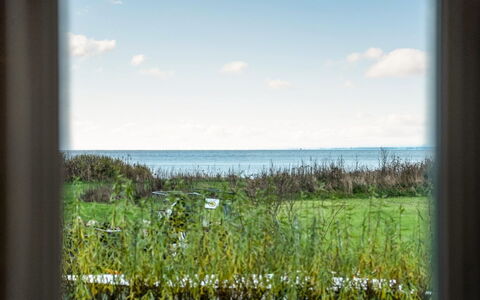 Joran - 120M from the Sea: Grøn, Naturlige Landskab, Økoregion, Sky, Almindeligt, Hav, Morgen, Prærie, Sollys, Ocean