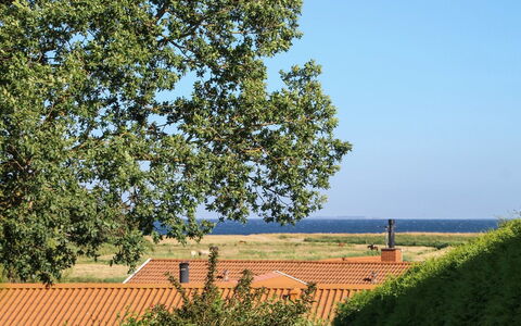 Roel - 500M from the Sea: Blå, Grøn, Blad, Almindeligt, Land Lot, Landdistrikt, Morgen, Sollys, Vedplante, Skygge