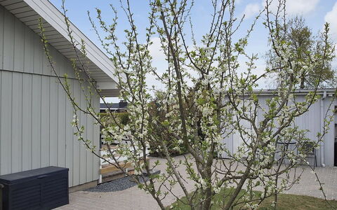 Stenkil - 250M from the Sea: Tag, Hus, Hjem, Sommerhus, Dør, Sidespor, Dæk, Veranda, Planke, Hårdttræ