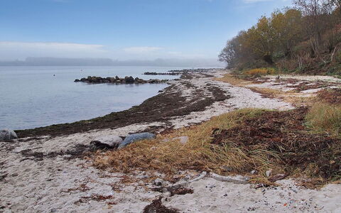 Majbritt - 50M from the Sea: Vand, Krop Af Vand, Naturligt Miljø, Kyst, Coastal Og Oceaniske Landskabsformer, Kyst, Rots, Hav, Bank, Strand