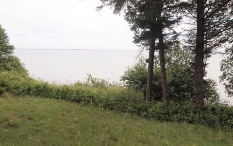 Pirjo - 50M from the Sea: Tag, Hus, Land Lot, Hjem, Sommerhus, Estate, Garden Bygninger, Skygge, Bjælkehytte, Landscaping