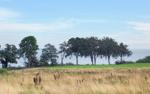 Iorund - 550M from the Sea: Hus, Hjem, Tag, Sommerhus, Estate, Landscaping, Garden Bygninger, Sidespor, Stuehus