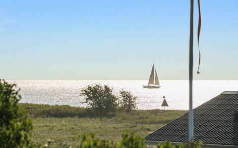 Kaapo - 300M from the Sea: Blå, Busk, Sommerhus, Bunddække, Have, Estate, Skygge, Landscaping, Stuehus, Eco Hotel