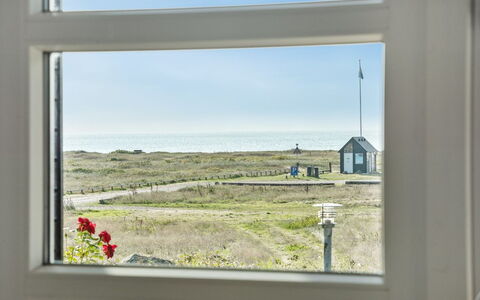 Kaapo - 300M from the Sea: Blå, Busk, Sommerhus, Bunddække, Have, Estate, Skygge, Landscaping, Stuehus, Eco Hotel