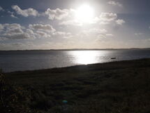 gülbahar - 300m From The Sea In Se Jutland