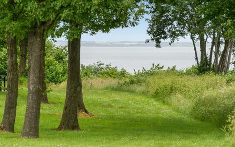 Ditte - 300M from the Sea: Grøn, Græs, Naturligt Miljø, Blad, Naturlige Landskab, Vegetationen, Græs-, Land Lot, Almindeligt, Bagagerum