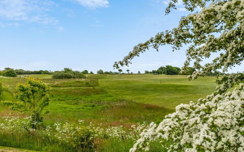 Ditte - 300M from the Sea: Himmel, Grøn, Træ, Naturligt Miljø, Vegetationen, Naturlige Landskab, Græs-, Busk, Sommer