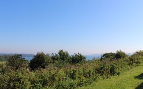 Marga - 400M from the Sea: Tag, Hus, Hjem, Sommerhus, Dør, Sidespor, Dæk, Veranda, Planke, Hårdttræ