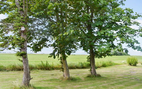 Juuso - 20Km from the Sea: Tag, Hus, Hjem, Sommerhus, Dør, Sidespor, Dæk, Veranda, Planke, Hårdttræ