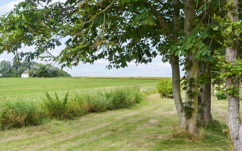 Juuso - 20Km from the Sea: Tag, Hus, Hjem, Sommerhus, Dør, Sidespor, Dæk, Veranda, Planke, Hårdttræ