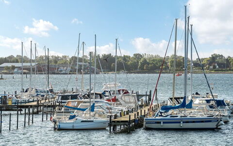 Joar - 5M to the Fjord: Båd, Blå, Vand, Krop Af Vand, Vandfartøjer, Marina, Både Og Sejlsport - Udstyr Og Materiel, Vandvej, Dok, Havn
