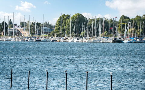 Joar - 5M to the Fjord: Blå, Vand, Vandvej, Båd, Marina, Vandfartøjer, Mast, Kanal, Sø, Havn