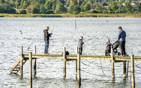 Joar - 5M to the Fjord: Tag, Hjem, Sommerhus, Sidespor, Skygge, Stuehus, Estate, Indkørsel, Garden Bygninger, Gård