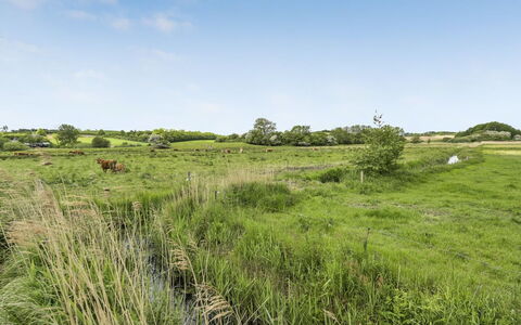 Sigbritt - 100M from the Sea: Himmel, Græs, Græs-, Naturligt Miljø, Grøn, Økoregion, Vegetationen, Naturlige Landskab, Sky, Almindeligt