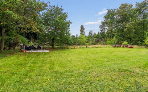 Arvi - 30Km from the Sea: Træ, Græs, Busk, Have, Land Lot, Almindeligt, Lawn, Eng, Parkere