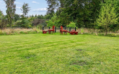 Arvi - 30Km from the Sea: Træ, Græs, Græs-, Busk, Have, Land Lot, Almindeligt, Lawn, Eng