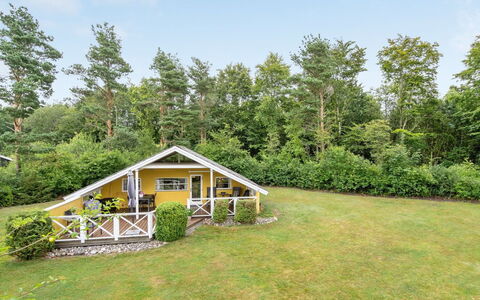 Hannelise - 30Km from the Sea: Græs, Græs-, Landskab, Økoregion, Almindeligt, Plantesamfund, Land Lot, Udendørs Møbler, Prærie, Shrubland