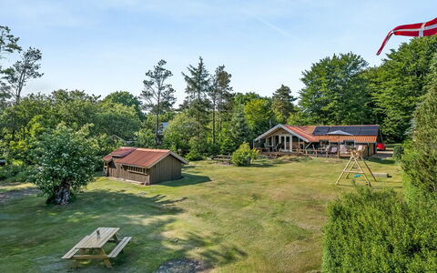 Tecla - 12Km from the Sea: Græs, Græs-, Landskab, Økoregion, Almindeligt, Plantesamfund, Land Lot, Udendørs Møbler, Prærie, Shrubland