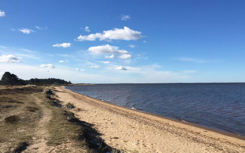 Elevine - 300M to the Fjord: Himmel, Krop Af Vand, Kyst, Strand, Horisont, Kyst, Coastal Og Oceaniske Landskabsformer, Sand, Hav, Ocean