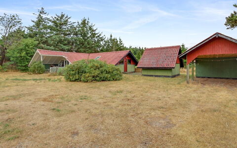 Ingwin - 250M to the Fjord: Græs, Tag, Land Lot, Landdistrikt, Almindeligt, Sommerhus, Lawn, Skur, Eng, Gård