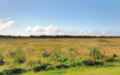Neven - 900M from the Sea: Træ, Bejdse, Planke, Hårdttræ, Sommerhus, Dæk, Sidespor, Skygge, Trægulve, Garden Bygninger