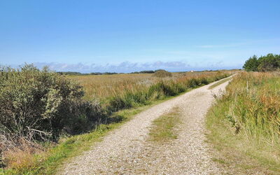 Neven - 900M from the Sea