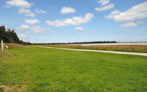 Sophia - 8Km from the Sea: Himmel, Blå, Grøn, Græs, Naturligt Miljø, Græs-, Sky, Naturlige Landskab, Almindeligt, Økoregion