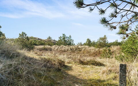 Eroll - 1.8Km from the Sea: Himmel, Blå, Græs, Naturligt Miljø, Vegetationen, Naturlige Landskab, Græs-, Økoregion, Busk, Plantesamfund