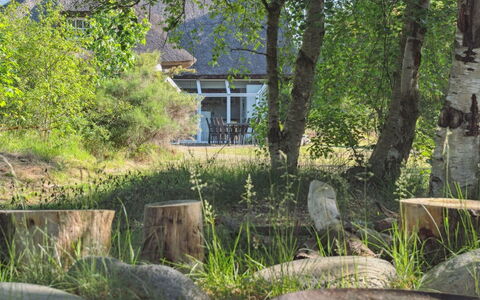 Gertrudis - 2Km to the Fjord: Afdeling, Busk, Sommerhus, Have, Bunddække, Forår, Kvist, Backyard, Landscaping, Skygge